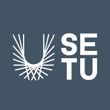 avatar of SETU